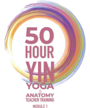 KHÓA ĐÀO TẠO HLV YIN YOGA & GIẢI PHẪU HỌC 50 GIỜ | MÔ-ĐUN I